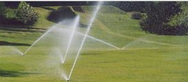 irrigation